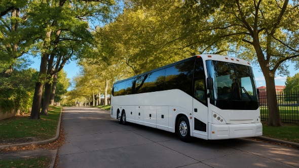 tuscaloosa bachelor and bachelorette party bus rentals